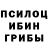Псилоцибиновые грибы мухоморы Allan Montoya