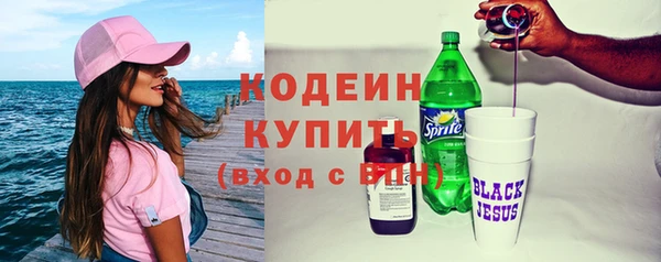 хмурый Арсеньев
