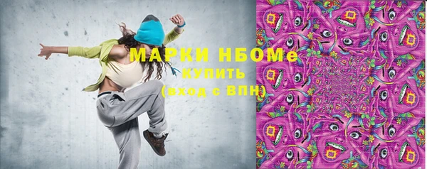 хмурый Арсеньев