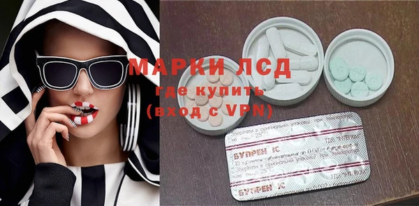 хмурый Арсеньев