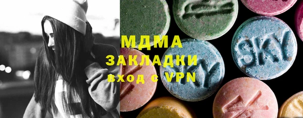 хмурый Арсеньев