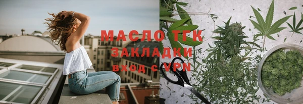 хмурый Арсеньев