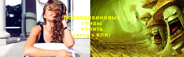 хмурый Арсеньев